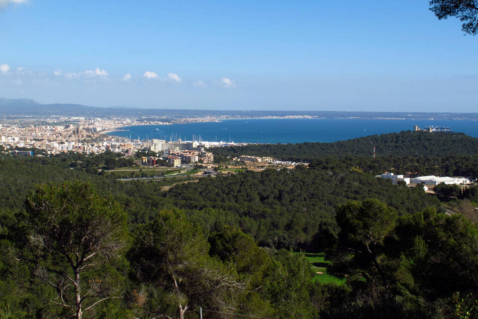 Plot for sale in Palma and surroundings 15