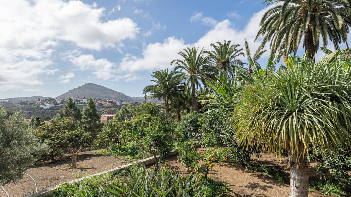 Villa for sale in Gran Canaria 32