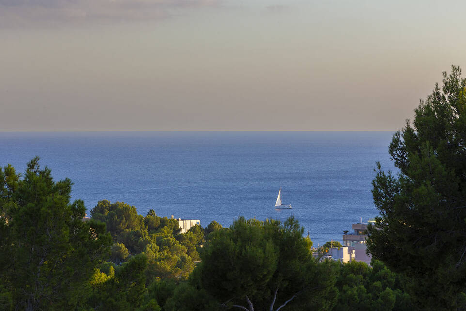 Villa à vendre à Mallorca Southwest 42