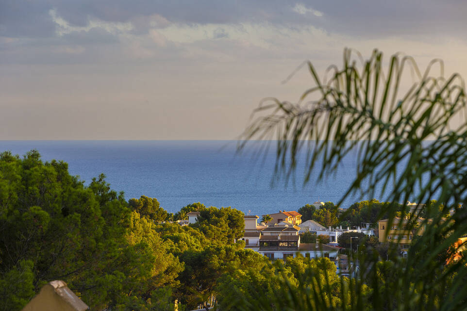 Villa for sale in Mallorca Southwest 46